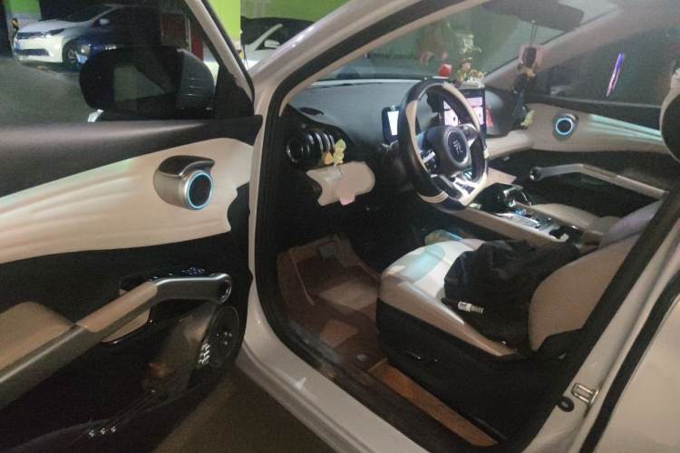 BYD Yuan Plus 2023 car image #13