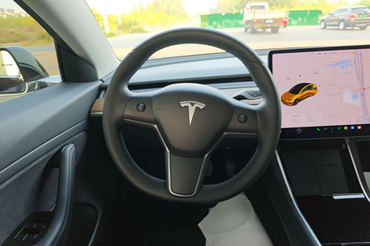 Tesla Model 3 2020 #15 Tesla Model 3 2020 car image #15