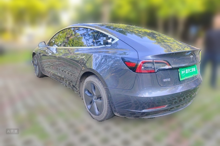 Tesla Model 3 2020 car image #5