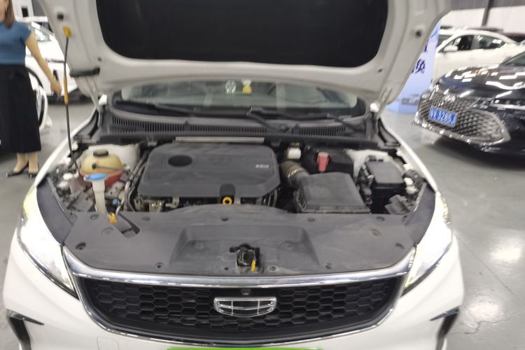 GEELY Binray 2021 immagine di auto #22