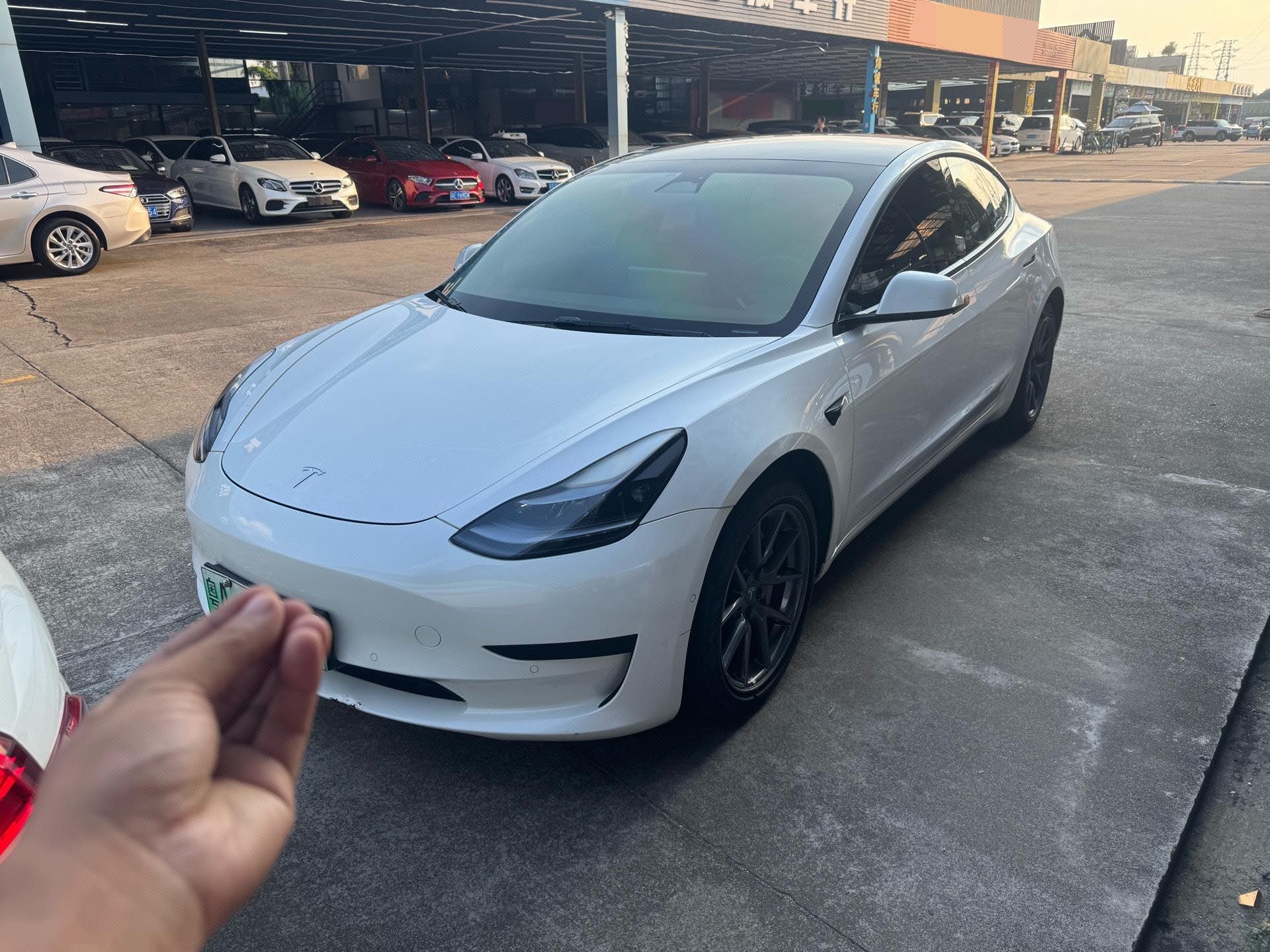 Tesla Model 3 2022 Tesla Model 3 2022 car image