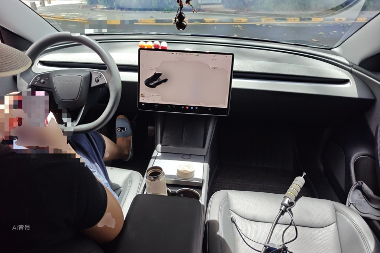 Tesla Model 3 2024 car image #11