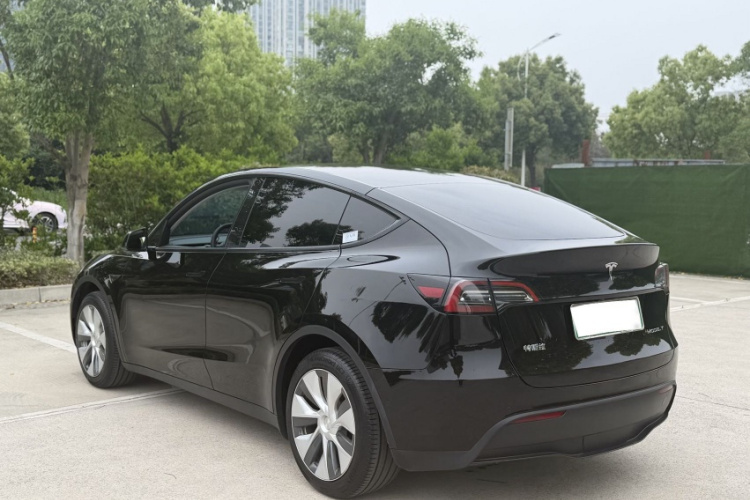Tesla Model Y 2023 car image #9