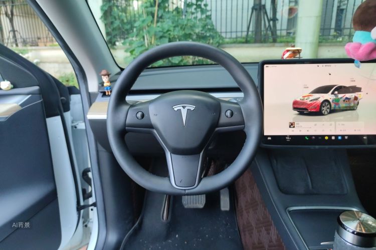 Tesla Model Y 2023 #12 Tesla Model Y 2023 car image #12