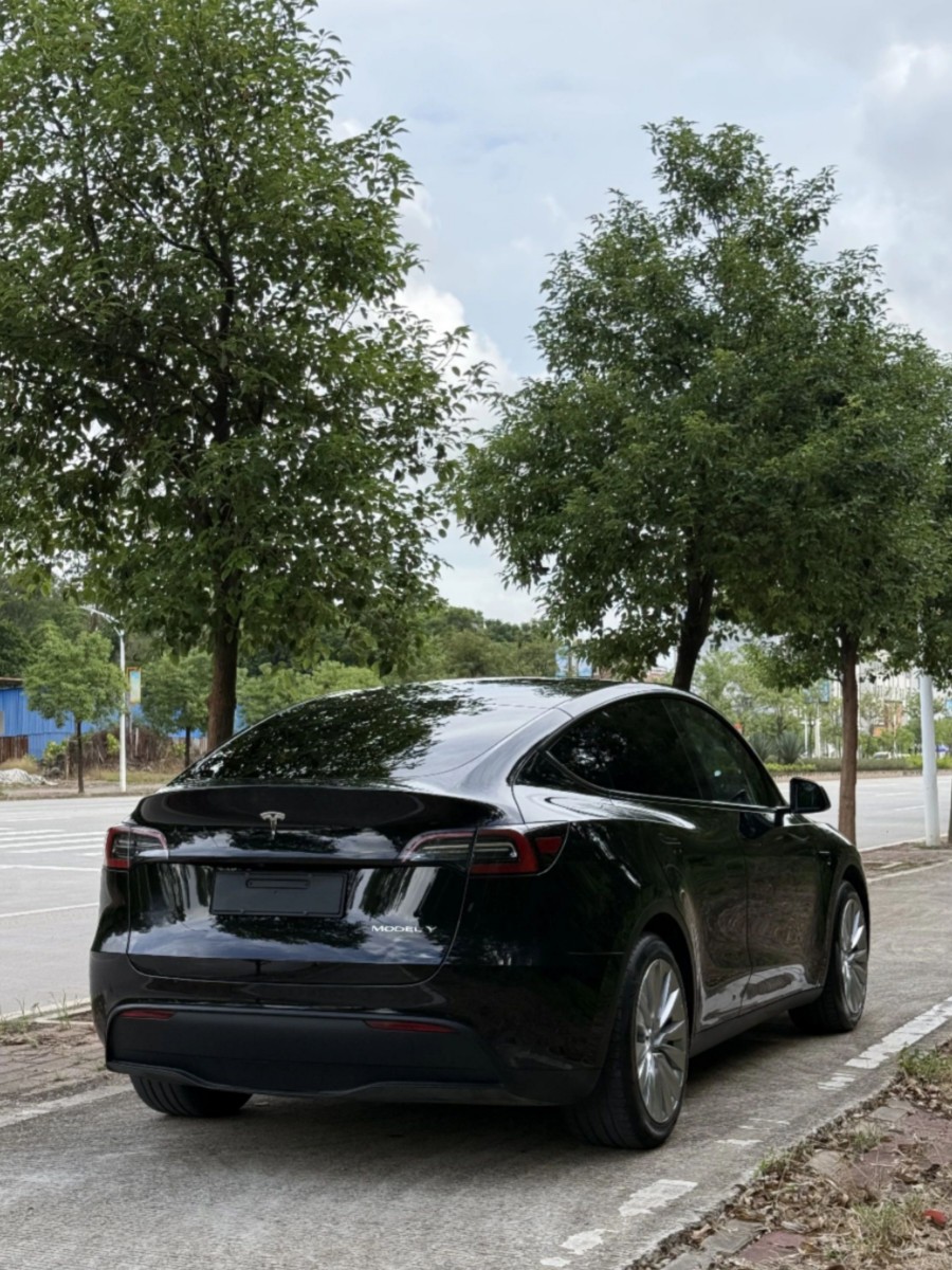 Tesla Model Y 2022 car image #5