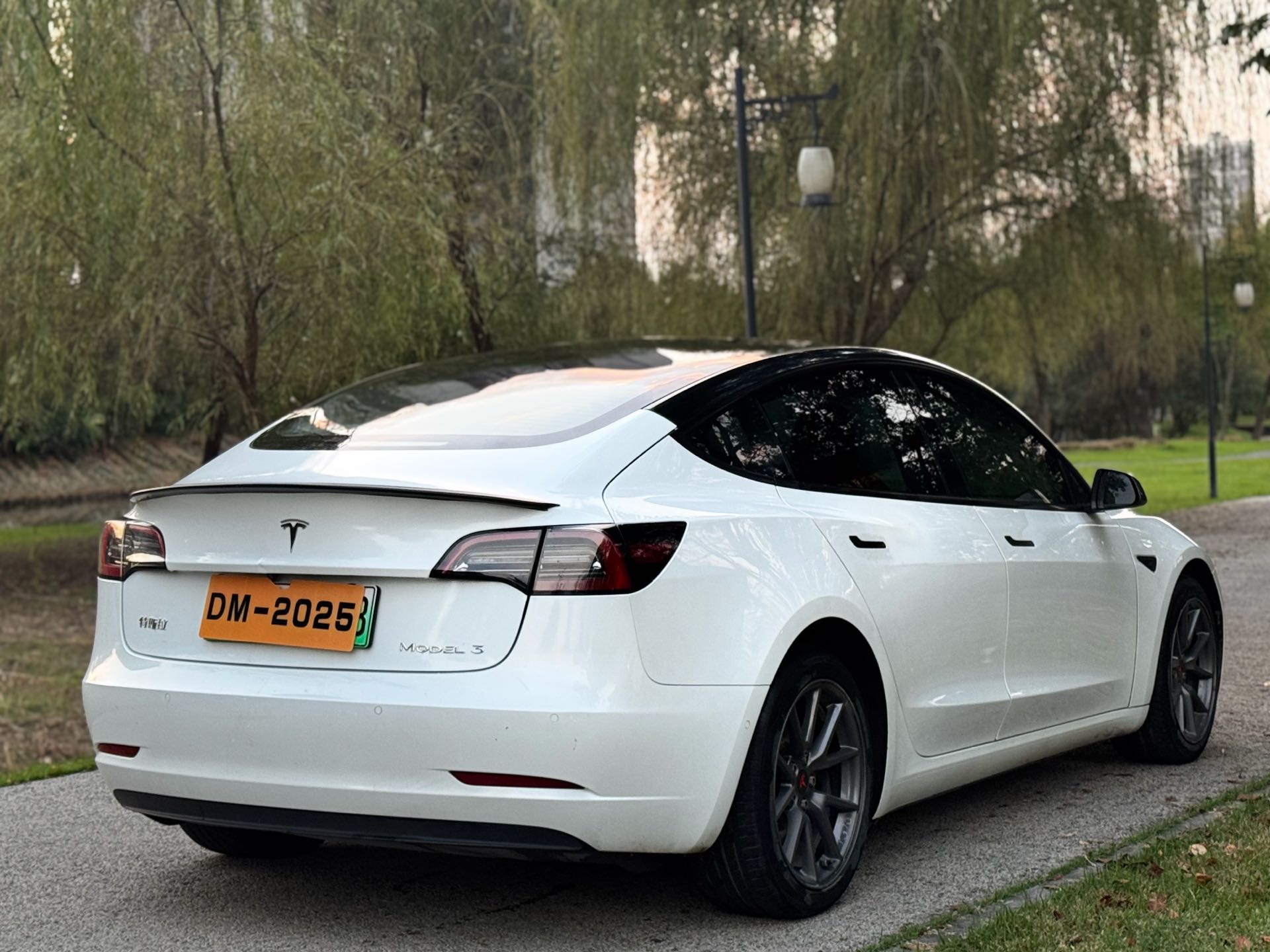 Tesla Model 3 2021 car image #6
