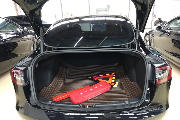 Tesla Model 3 2021 #19 Tesla Model 3 2021 car image #19