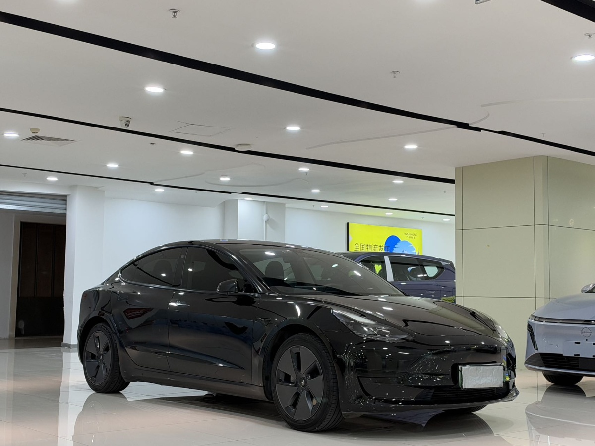 Tesla Model 3 2021 #3 Tesla Model 3 2021 immagine di auto #3
