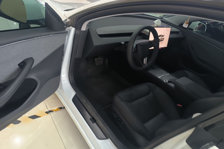 Tesla Model 3 2025 car image #16