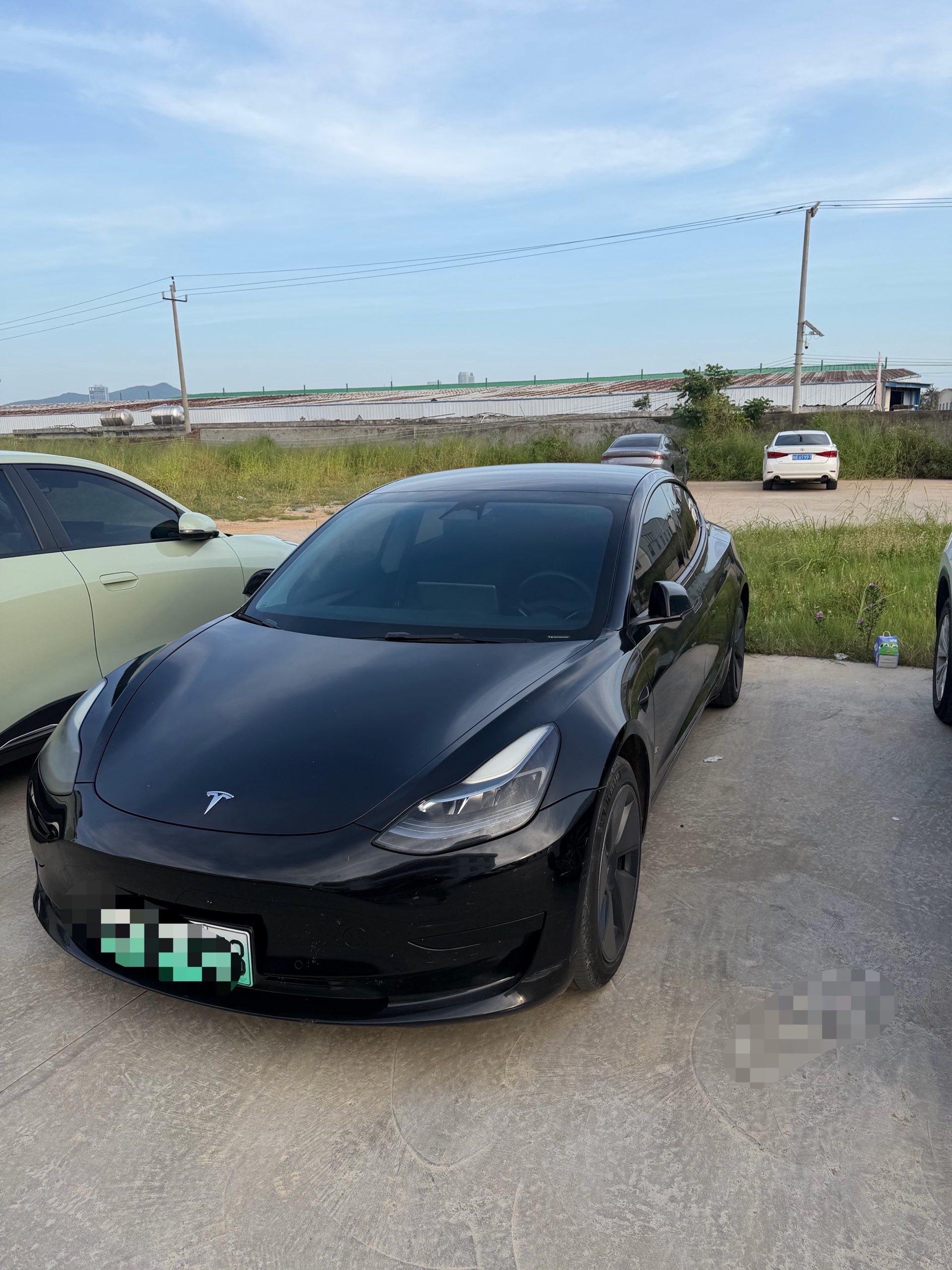 Tesla Model 3 2023 car image 