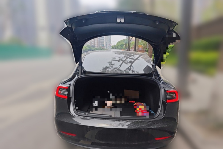 Tesla Model 3 2022 #21 Tesla Model 3 2022 car image #21