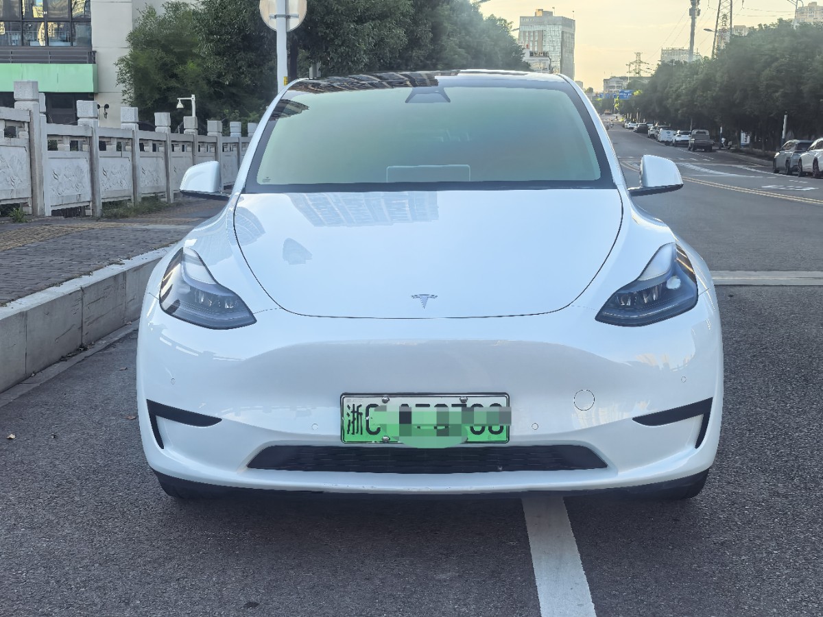 Tesla Model Y 2023 #2 Tesla Model Y 2023 car image #2