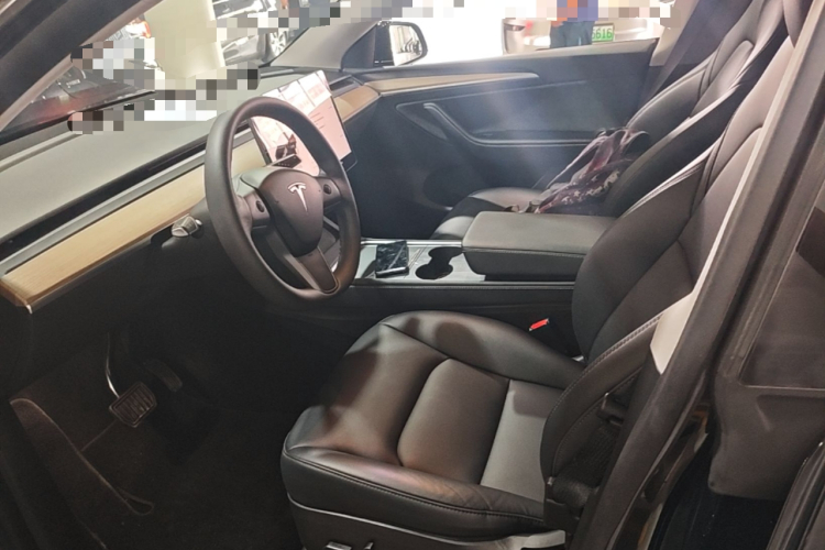 Tesla Model Y 2022 immagine di auto #15
