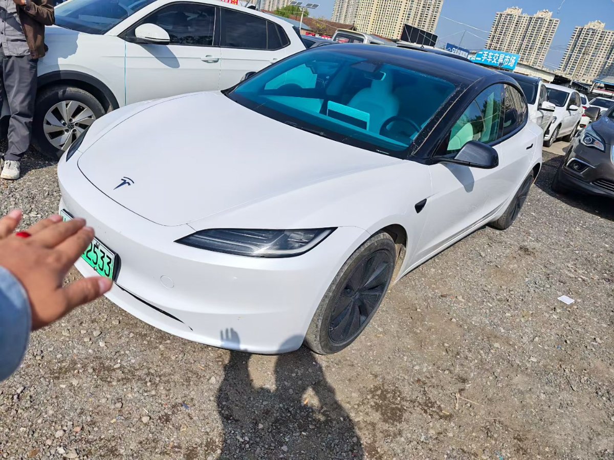 Tesla Model 3 2025 Tesla Model 3 2025 immagine di auto