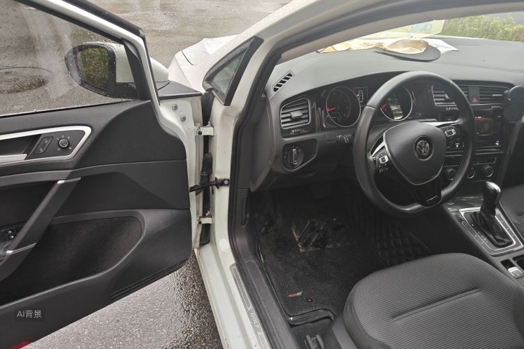 Volkswagen Golf 2019 car image #18
