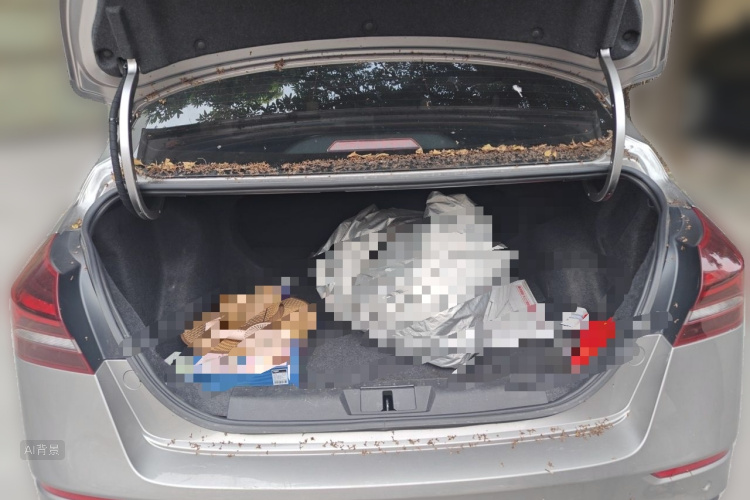 GEELY Emgrand 2021 car image #21