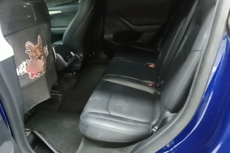 Tesla Model Y 2021 #17 Tesla Model Y 2021 car image #17