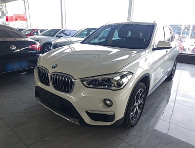 BMW X1 2019 imagen de coche 