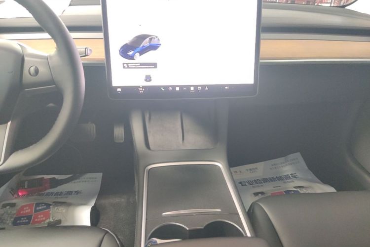 Tesla Model 3 2021 #14 Tesla Model 3 2021 car image #14