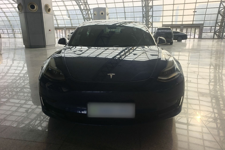 Tesla Model 3 2021 car image #3