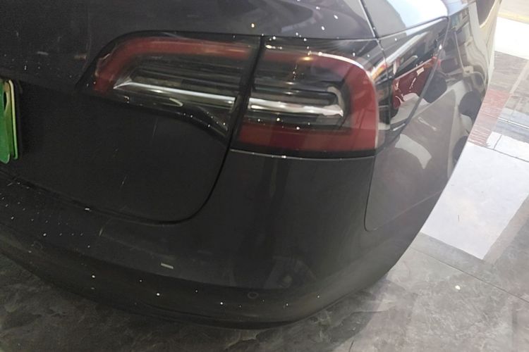 Tesla Model 3 2021 #8 Tesla Model 3 2021 car image #8