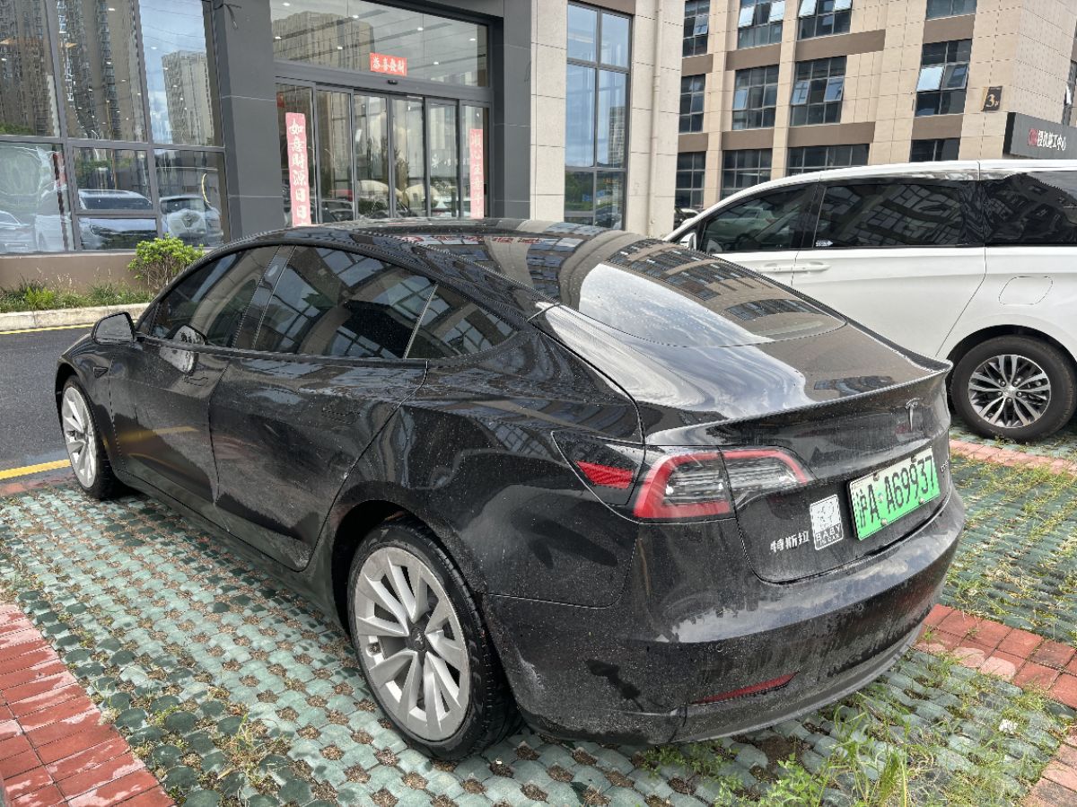 Tesla Model 3 2021 car image #9
