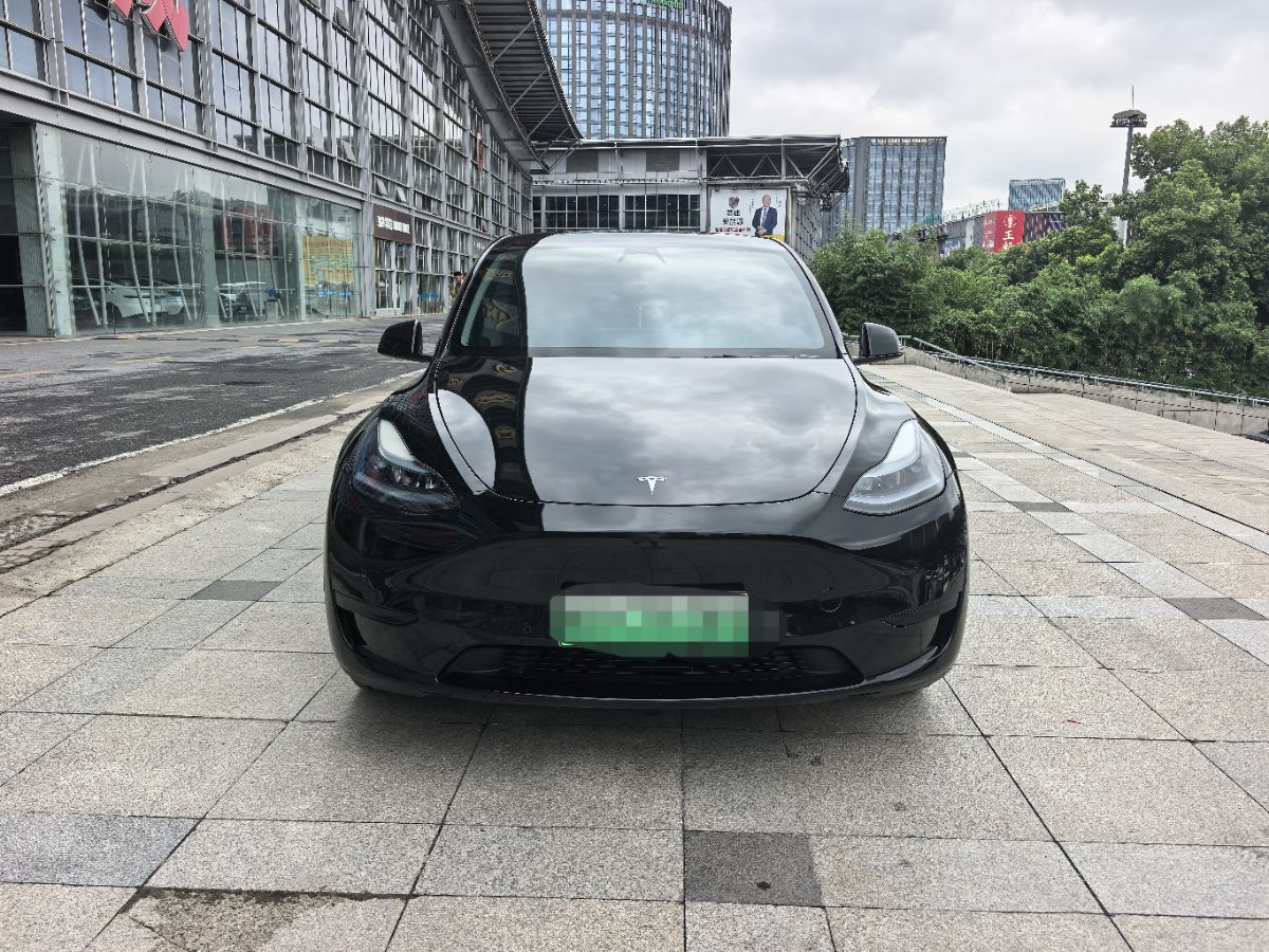 Tesla Model Y 2024 #2 Tesla Model Y 2024 car image #2