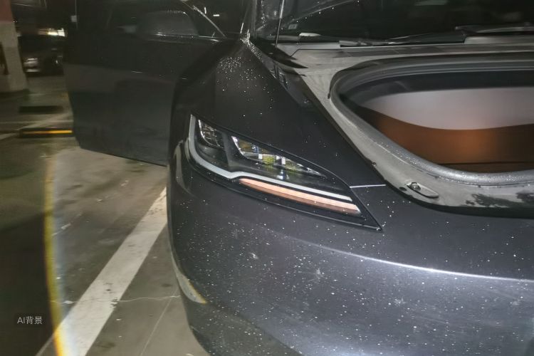 Tesla Model 3 2024 #8 Tesla Model 3 2024 car image #8