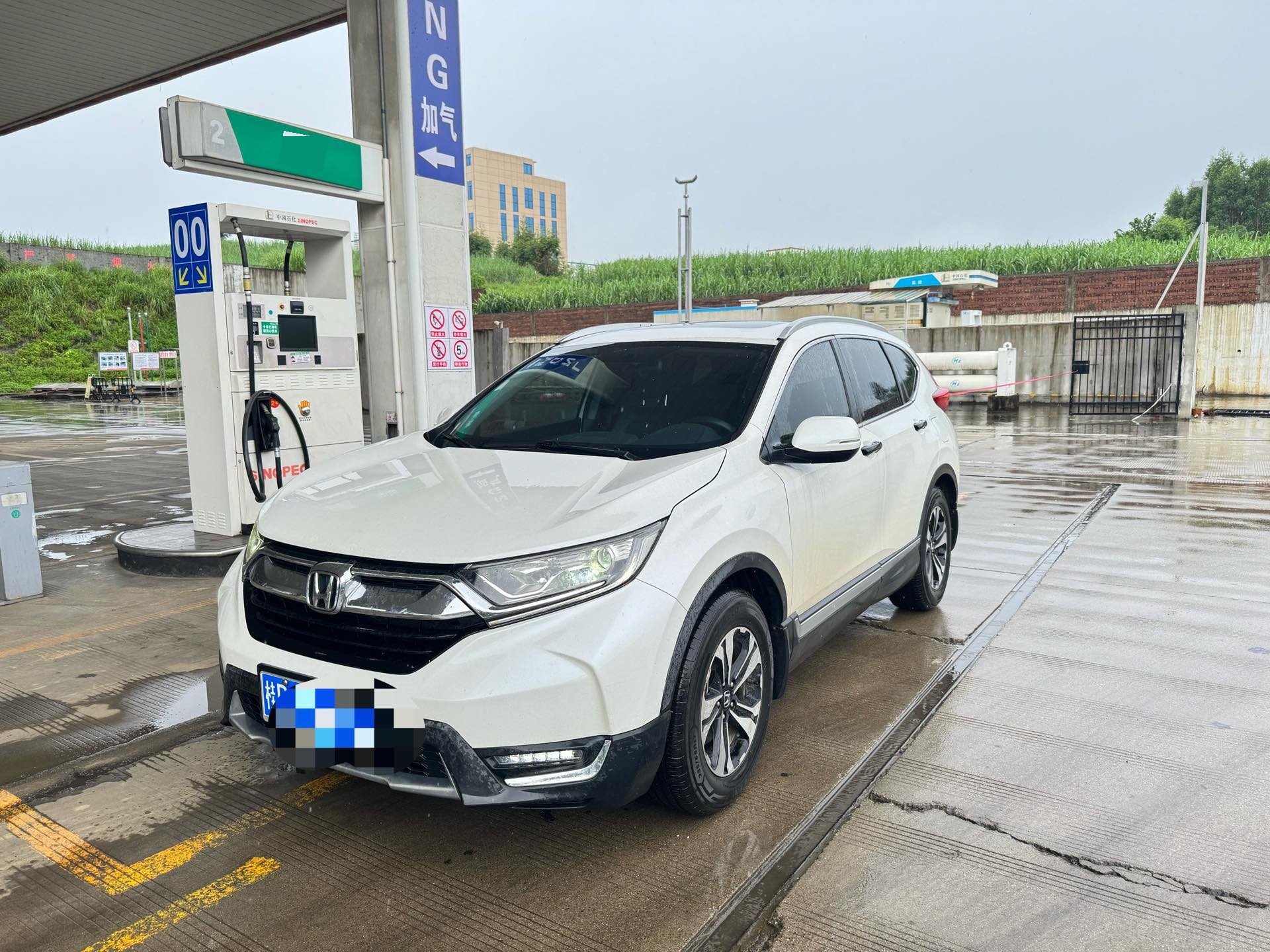 Honda CR-V 2019 car image 
