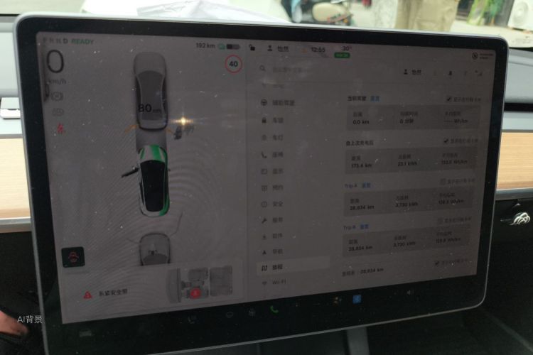 Tesla Model 3 2021 car image #13