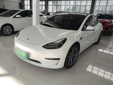 Tesla Model 3 2022 Tesla Model 3 2022 car image