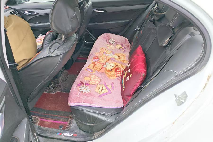 GEELY Emgrand 2021 #7 GEELY Emgrand 2021 imagen de coche #7