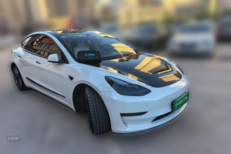 Tesla Model 3 2021 car image #4