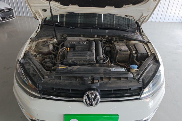 Volkswagen Golf 2020 car image #20