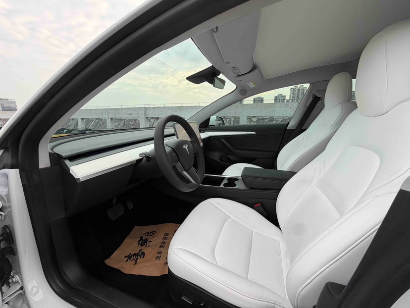 Tesla Model 3 2022 #6 Tesla Model 3 2022 immagine di auto #6