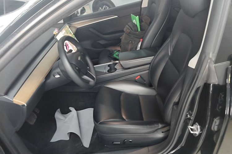 Tesla Model 3 2021 car image #15