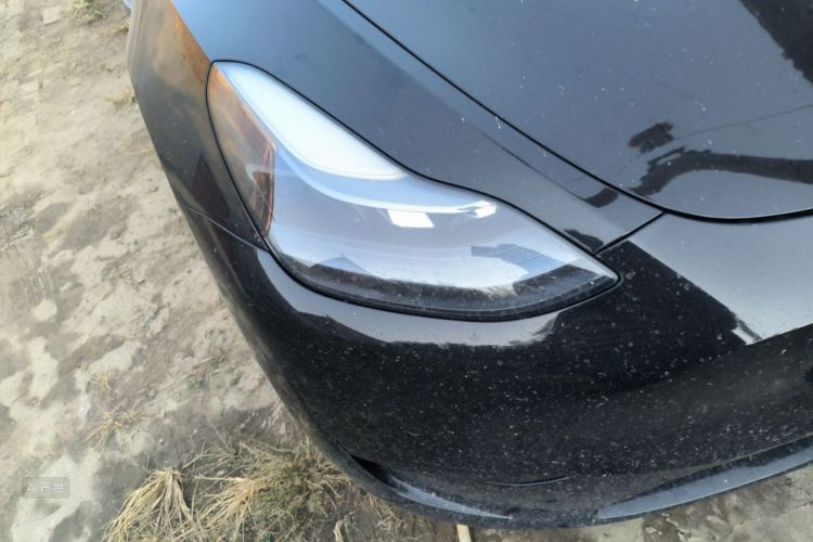 Tesla Model Y 2023 #8 Tesla Model Y 2023 car image #8