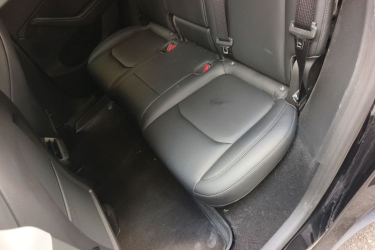 Tesla Model Y 2023 #10 Tesla Model Y 2023 car image #10