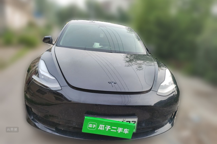 Tesla Model 3 2020 #3 Tesla Model 3 2020 car image #3