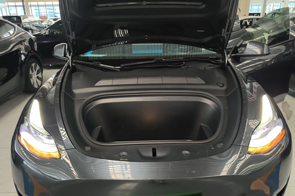 Tesla Model Y 2024 car image #6