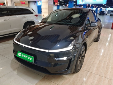Tesla Model Y 2025 car image 