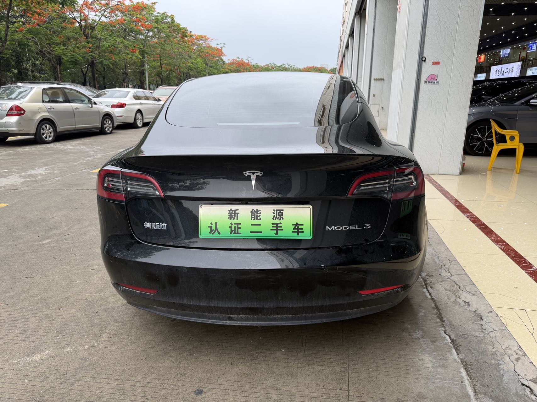 Tesla Model 3 2021 #4 Tesla Model 3 2021 car image #4