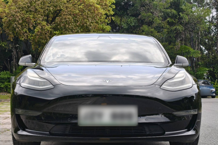 Tesla Model 3 2020 #5 Tesla Model 3 2020 car image #5