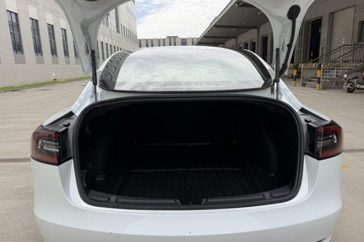Tesla Model 3 2020 car image #28