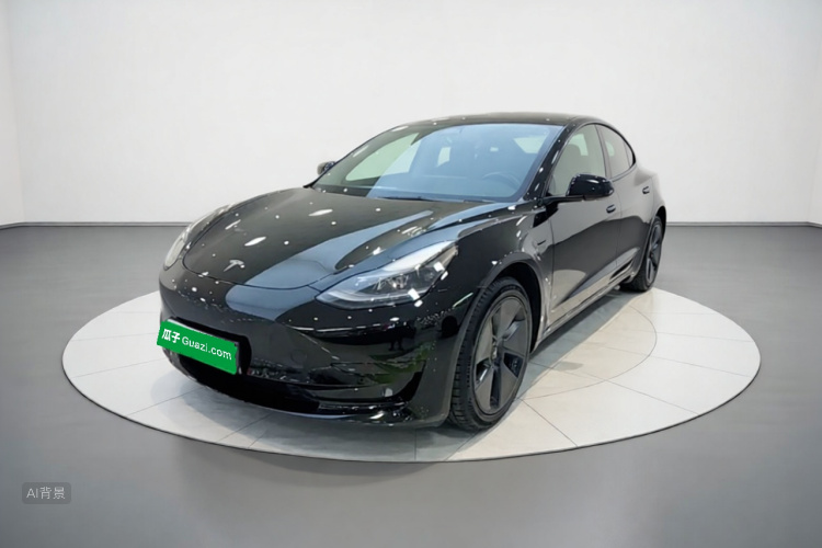 Tesla Model 3 2022 #2 Tesla Model 3 2022 car image #2