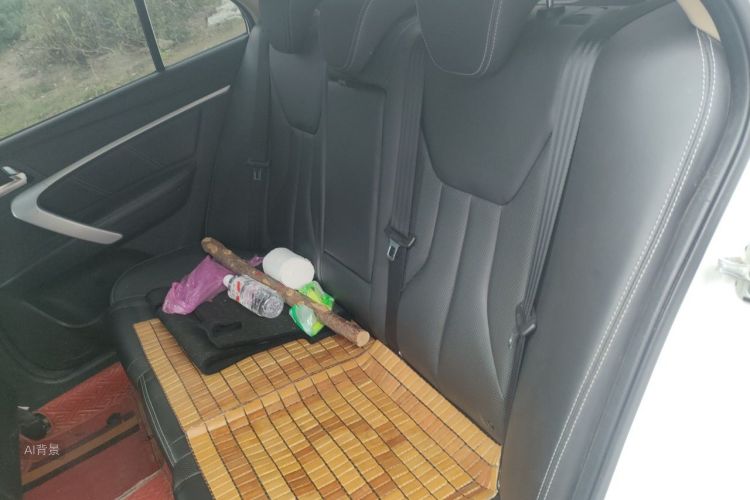 GEELY Emgrand 2018 #19 GEELY Emgrand 2018 car image #19