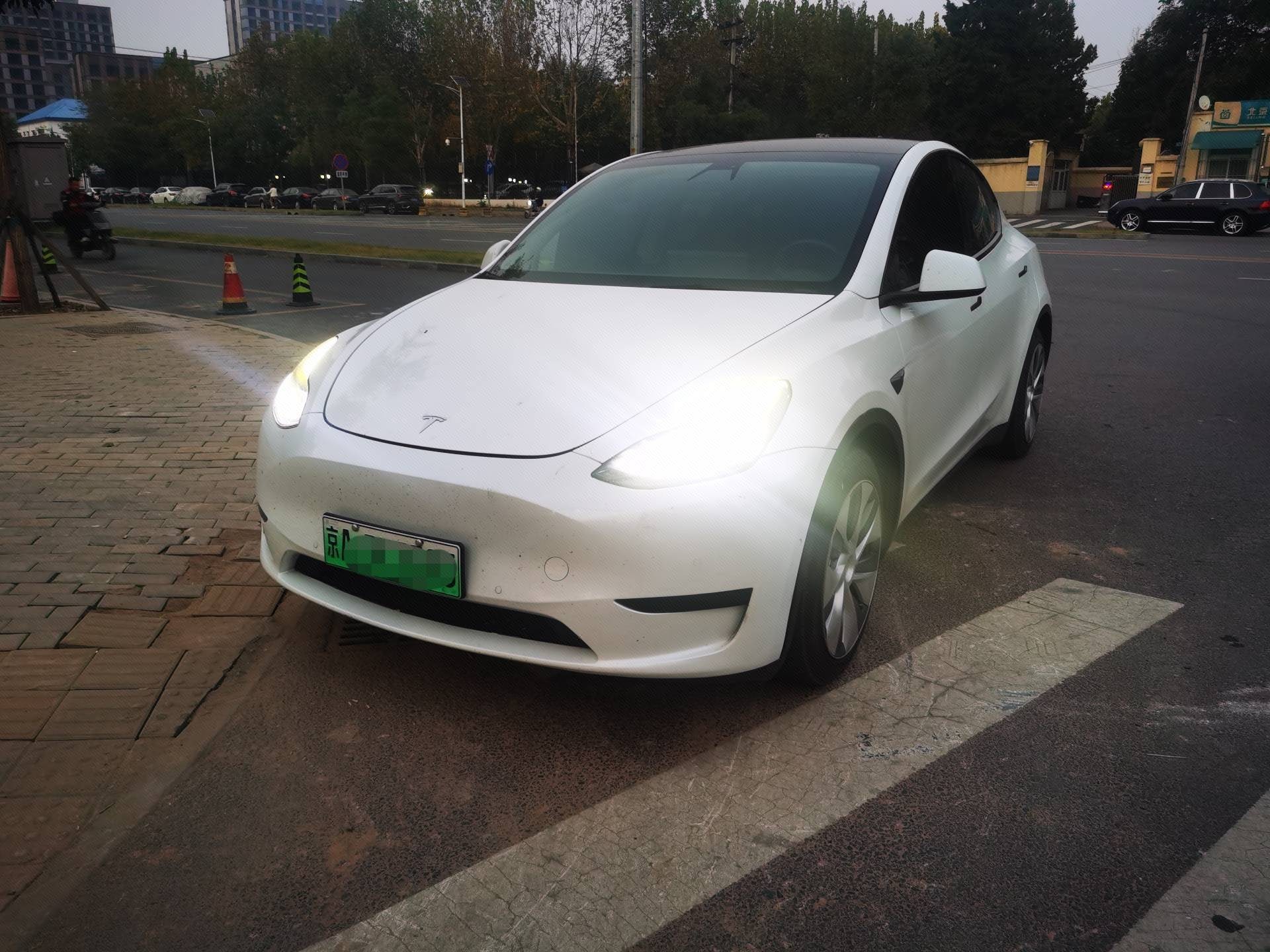 Tesla Model Y 2023 immagine di auto 