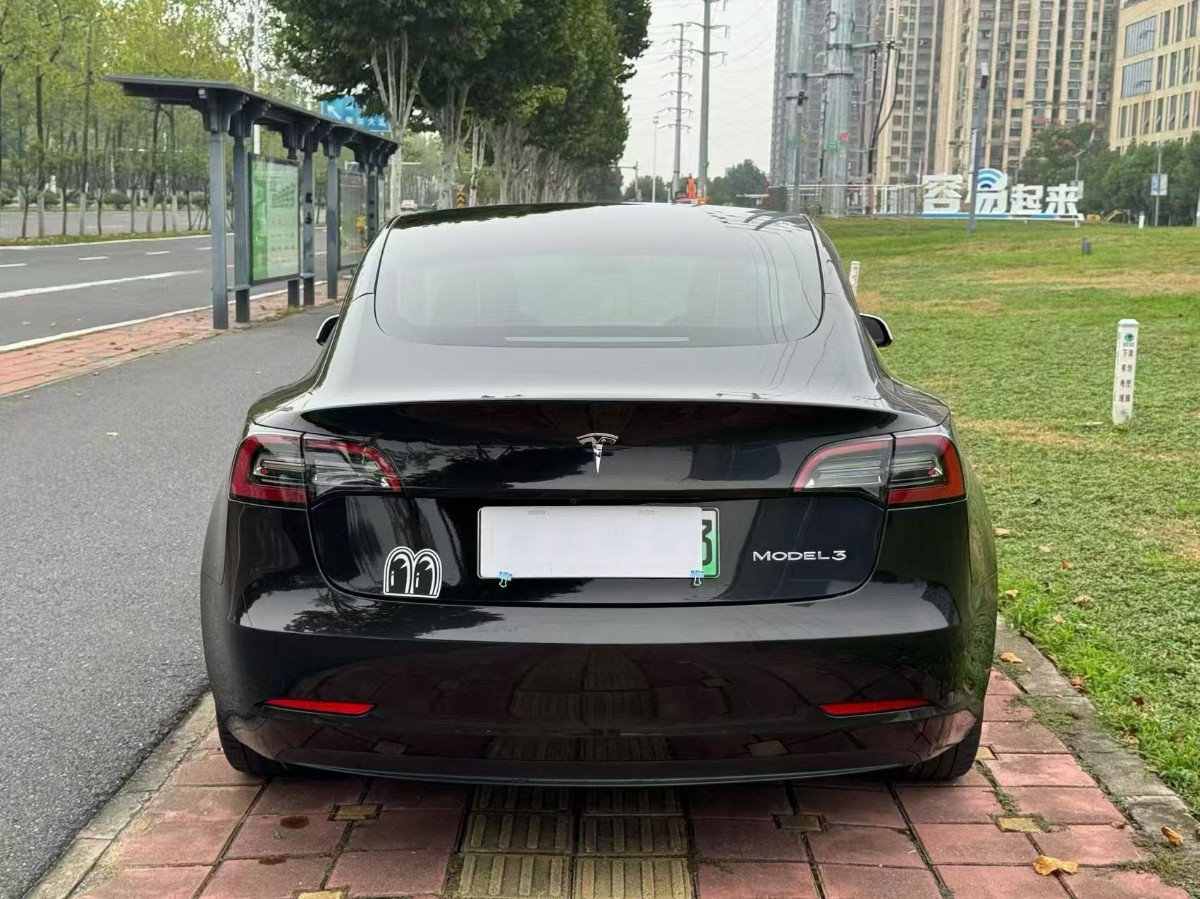 Tesla Model 3 2021 #6 Tesla Model 3 2021 immagine di auto #6