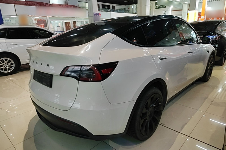 Tesla Model Y 2021 #7 Tesla Model Y 2021 car image #7