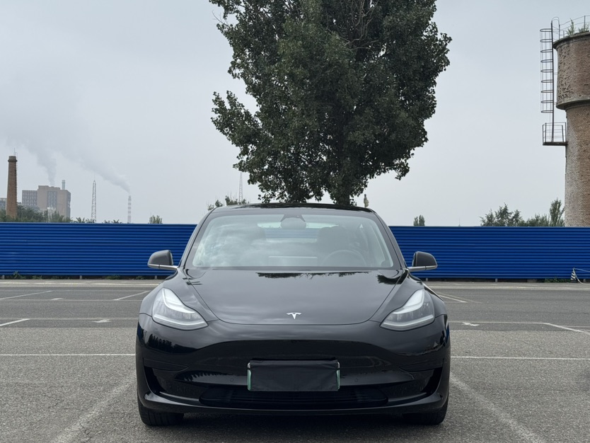 Tesla Model 3 2020 #2 Tesla Model 3 2020 car image #2